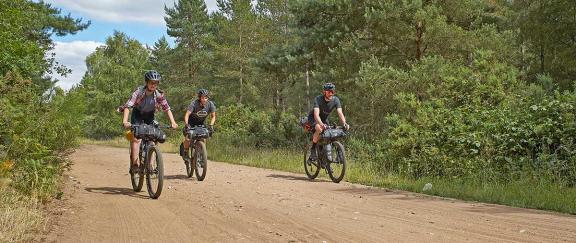 Cyclists riding along a sandy trail in the woods