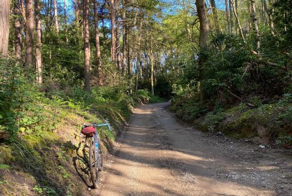 Experience Cromer Great Wood gravel ride